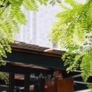 宝宝的数阶人播客