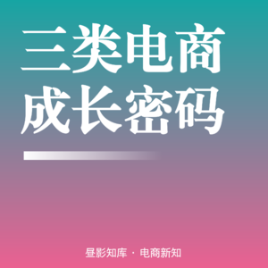 Vol.145 ｜ 电商“三驾马车”的成长密码：工厂型、贸易型、代理型
