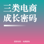 Vol.145 ｜ 电商“三驾马车”的成长密码：工厂型、贸易型、代理型