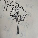 沙地野狂菇