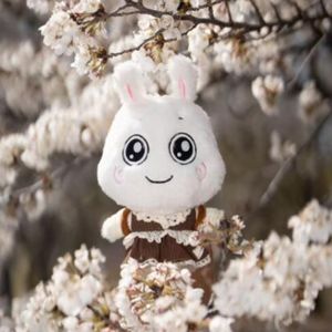 团团编辑部