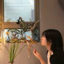 请让我成为幸运之