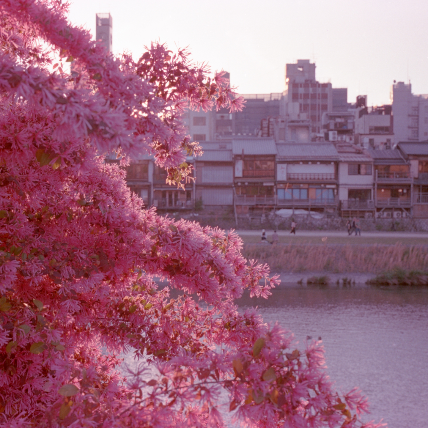 怀炉写真机KairoCamera