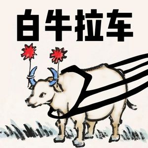 白牛拉车