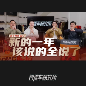 2025年，只做纯电车的品牌太难了！