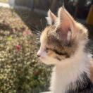 灰灰酱的生活日记