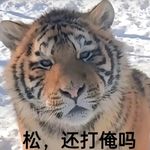 边走边想