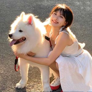 podcaster-avatar