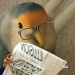 东方不buy玲娜惫儿
