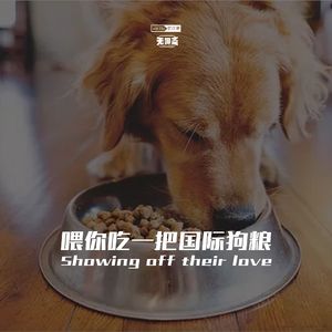 vol.237 喂你吃一把国际狗粮