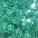 火焰小马哥