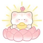 小胡胡胡胡胡