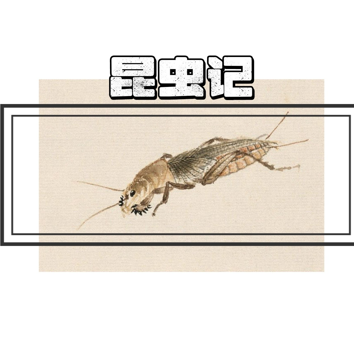 Ep25 昆虫记|硕鼠硕鼠,无食我黍! episode artwork