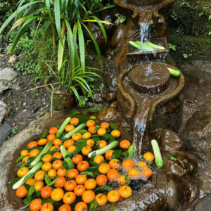 VOL172.爱并不需要你与众不同，谁能凭爱意要富士山私有？