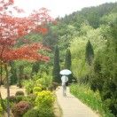 骄阳似火_vdmy