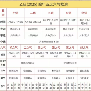 Vol.03 雨水节气的养生之道与五运六气的小科普