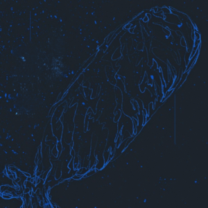 13.藏！是面对春天的柔软方式