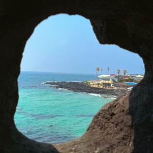 Vol.16｜为了去看《苦尽柑来》里的海，我再次踏上济州岛之旅