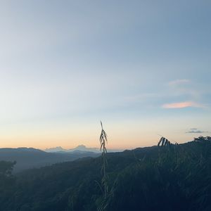 podcaster-avatar