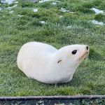 与食物和平共处