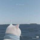 PaulCelan云养猫