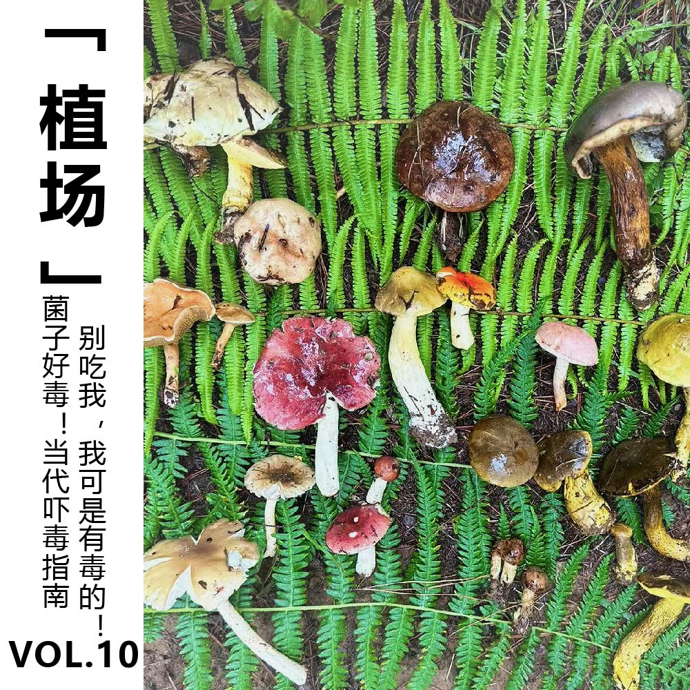 cover of episode Vol.10【植场】菌子好毒！当代吓毒指南：别吃我，我可是有毒的！