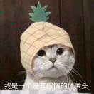 在船底摘星