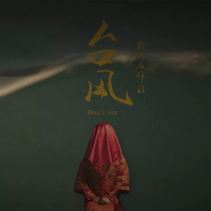 050-宝藏专辑系列|野外合作社《台风》
