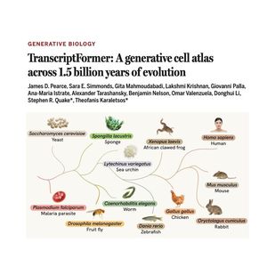 1481-TranscriptFormer：跨越15亿年进化的生成式细胞图谱基础模型