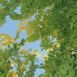 轻舟在过万重山