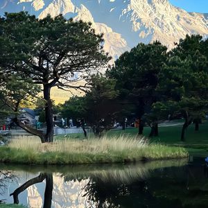 池塘南