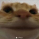 红豆泥尼妮