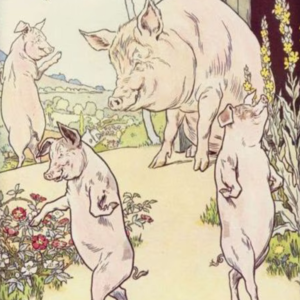 The Three Little Pigs 三只小猪 英文绘本