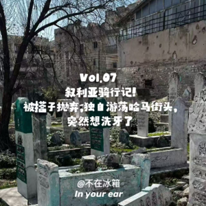 Vol.07 叙利亚骑行记！被搭子抛弃，独自游荡哈马街头，突然想洗牙了