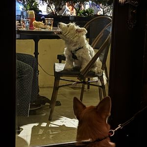 podcaster-avatar