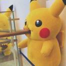 皮卡皮卡皮卡皮卡皮