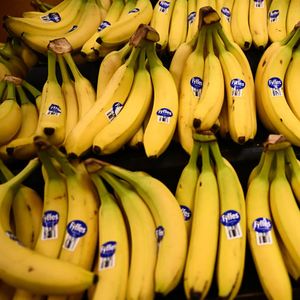 47. 🍌香蕉战争｜一根香蕉背后的百年血色权力游戏
