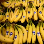47. 🍌香蕉战争｜一根香蕉背后的百年血色权力游戏