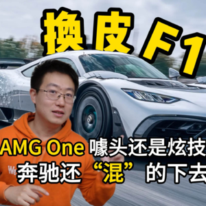 AMG One真牛假牛？气动气门售后灾难？F1下放的MGU-H/K有用吗？奔驰混动思路和国产有何不同？