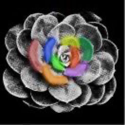 原初心智的个人播客