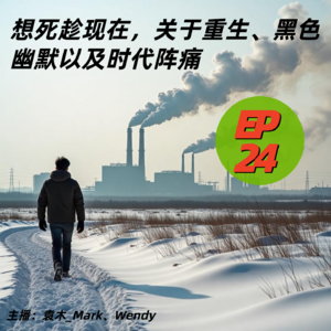 24. 想死趁现在，关于重生、黑色幽默以及时代阵痛