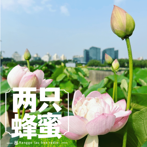 Vol.17 清凉一夏，我有消暑好办法。 episode artwork