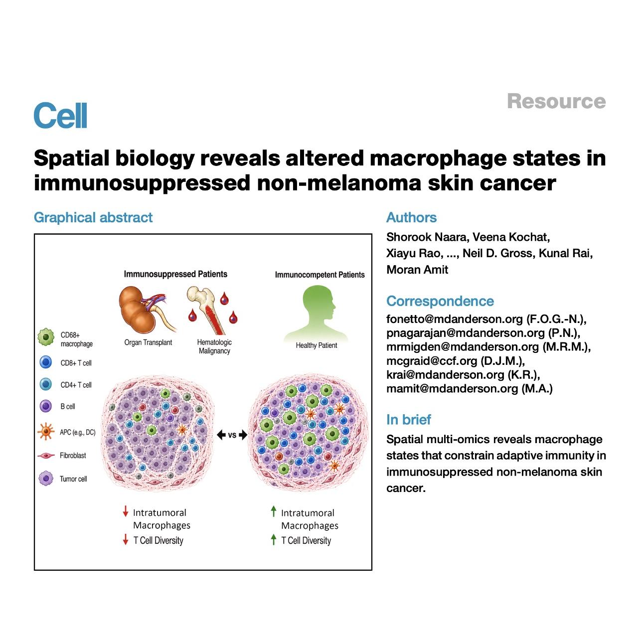1506-Spatial Immune Remodeling in Skin Cancer episode artwork