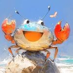 是爱逛街的螃蟹