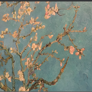 45.站在梵高画前我死了