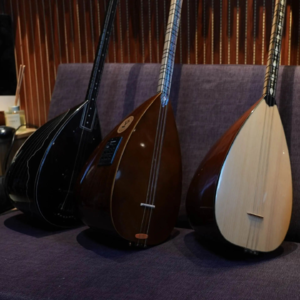 「第106件小众乐器」吟游诗人的乐器|巴拉玛