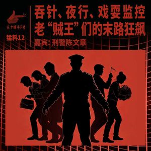 【猛料12】吞针、夜行、戏耍监控，老“贼王”们的末路狂飙 ｜ 刑警陈文章12
