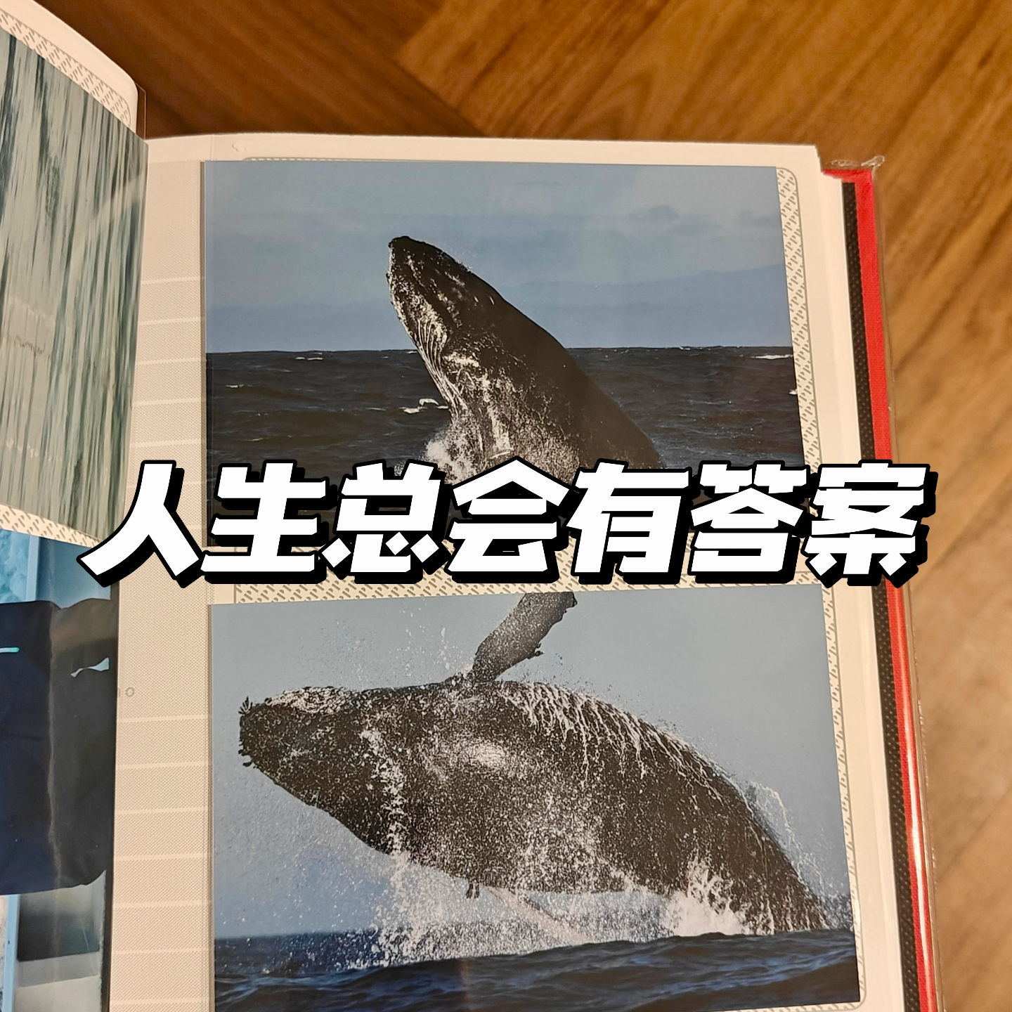 011 《人生总会有答案》上篇共读：如何让爱在我们的生活中流淌起来 episode artwork