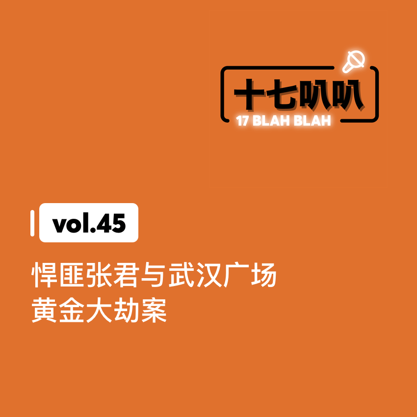 45、悍匪张君与武汉广场黄金大劫案