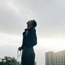 名叫朱尔斯的猫